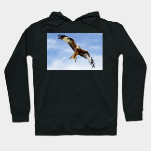 Soaring Red Kite Hoodie